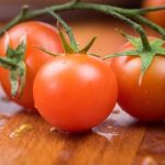 pasos para cultivar tomate